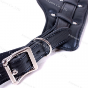 БДСМ и фетиш