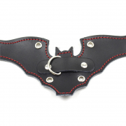 БДСМ и фетиш