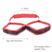 БДСМ и фетиш