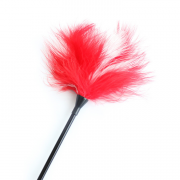 БДСМ и фетиш