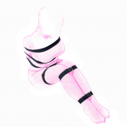 БДСМ и фетиш