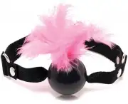 Кляпы, Ошейники