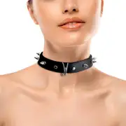 Кляпы, ошейники для мужчин