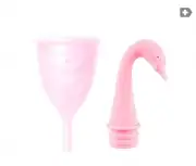 Менструальная чаша Femintimate Eve Cup с переносным душем, (S)