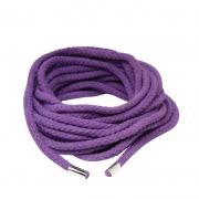 БДСМ і фетиш