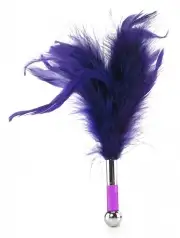 БДСМ и фетиш