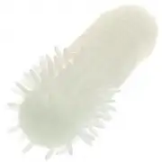 Насадки и кольца