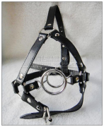 Кляпы, Ошейники