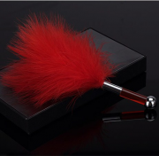 Анальные пробки