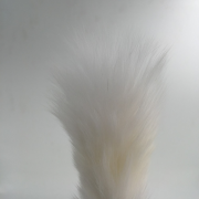 Анальные игрушки