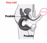Массажеры простаты