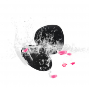 Анальные пробки