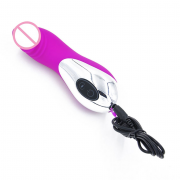 Вибраторы VIP