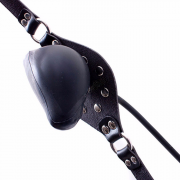 Кляпы, Ошейники