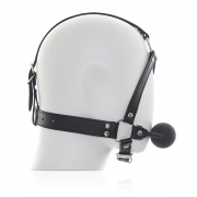 Кляпы, Ошейники