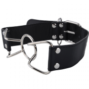 Кляпы, Ошейники