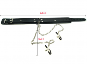 Кляпы, Ошейники