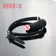 Кляпы, Ошейники