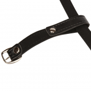 Кляпы, Ошейники