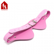 БДСМ и фетиш