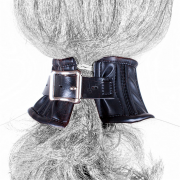 Кляпы, Ошейники