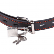 Кляпы, Ошейники