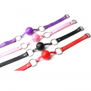 Кляпы, Ошейники