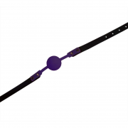 Кляпы, Ошейники