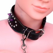 Кляпы, Ошейники