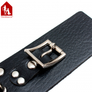 Кляпы, Ошейники