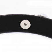 Кляпы, Ошейники