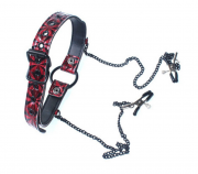 Кляпы, Ошейники