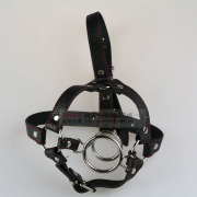 Кляпы, Ошейники