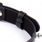 Кляпы, Ошейники