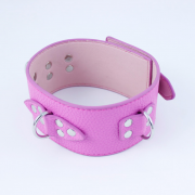 Кляпы, Ошейники