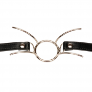 Кляпы, Ошейники