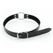 Кляпы, Ошейники