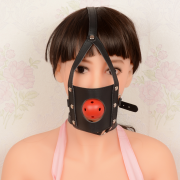 Кляпы, Ошейники