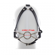 Кляпы, Ошейники