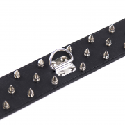 Кляпы, Ошейники