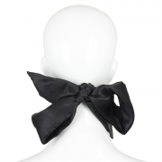 Кляпы, Ошейники