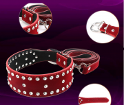 Кляпы, Ошейники