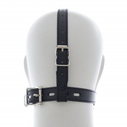 Кляпы, Ошейники