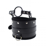 Кляпы, Ошейники