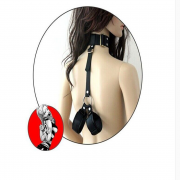 Кляпы, Ошейники