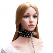 Кляпы, Ошейники