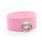 Кляпы, Ошейники