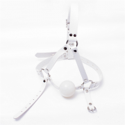 Кляпы, Ошейники