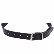 Кляпы, Ошейники