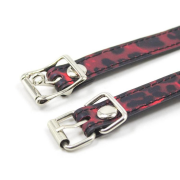 Кляпы, Ошейники